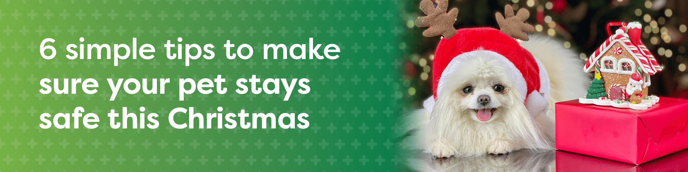 6 tips to keep your pets safe this Xmas