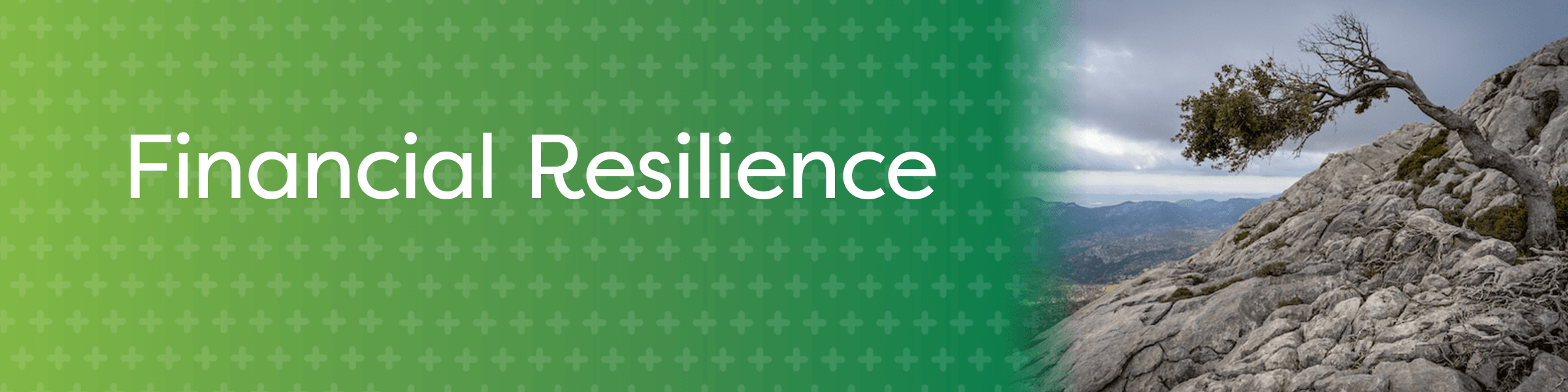 Financial resilience