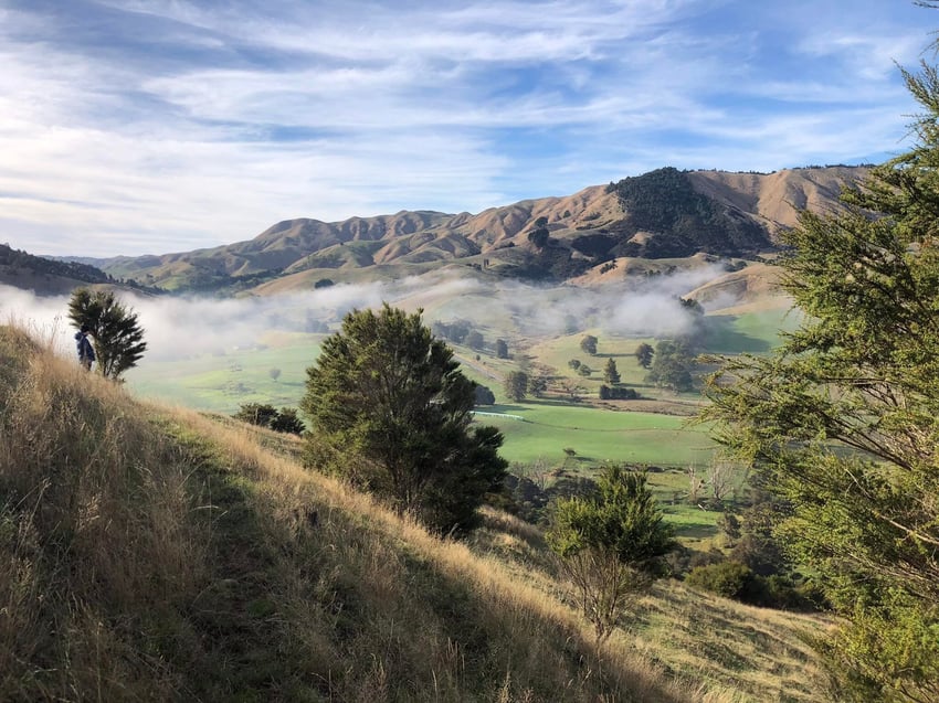 Matahuru Valley Walk