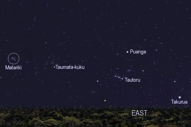 Matariki in the sky