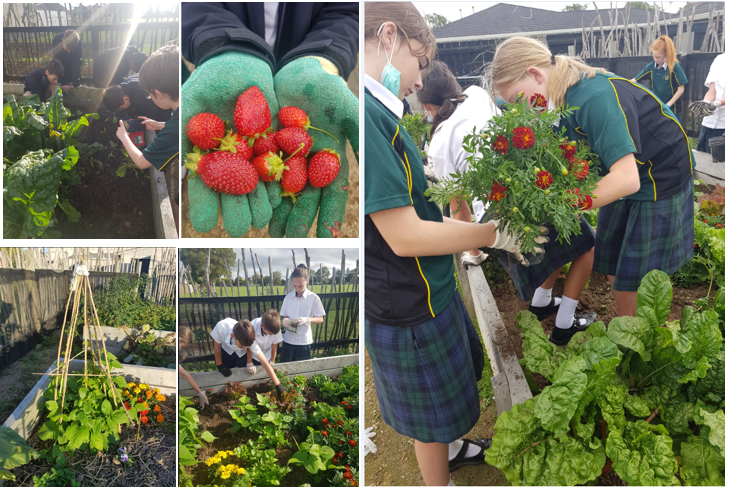 students work in garden